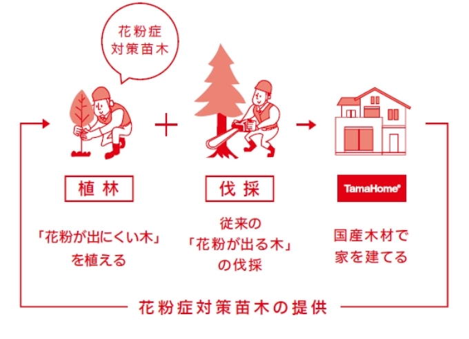 花粉症対策苗木の提供