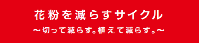 花粉を減らすサイクル 切って減らす。植えて減らす。