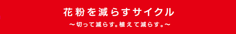 花粉を減らすサイクル 切って減らす。植えて減らす。